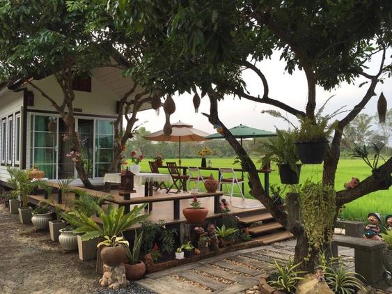 Desain Rumah Pinggir Sawah