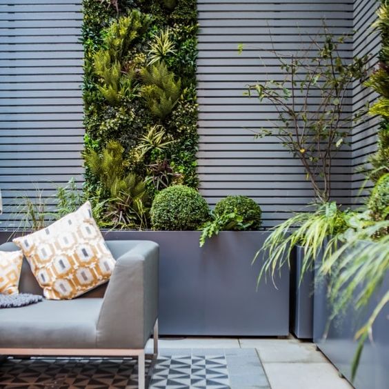 Taman Vertikal untuk Rumah Minimalis