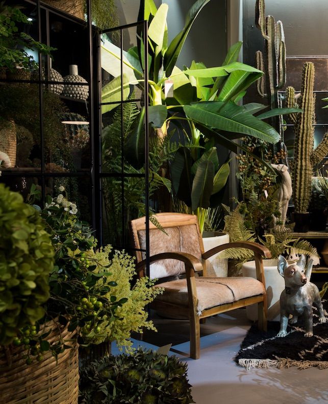 ruang tamu bergaya urban jungle